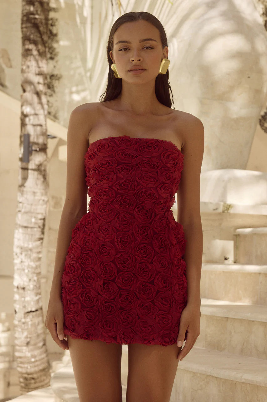 Cherry Rosette Dress