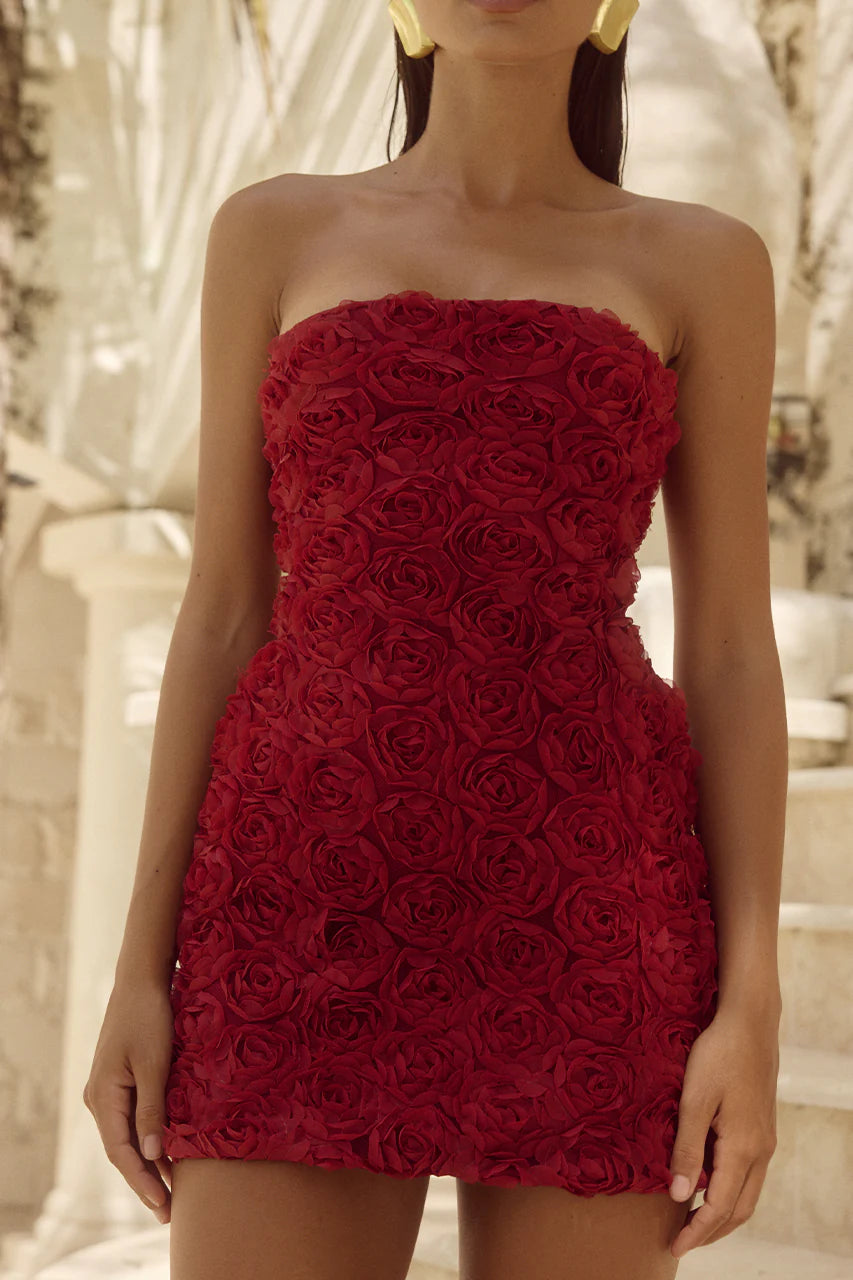 Cherry Rosette Dress