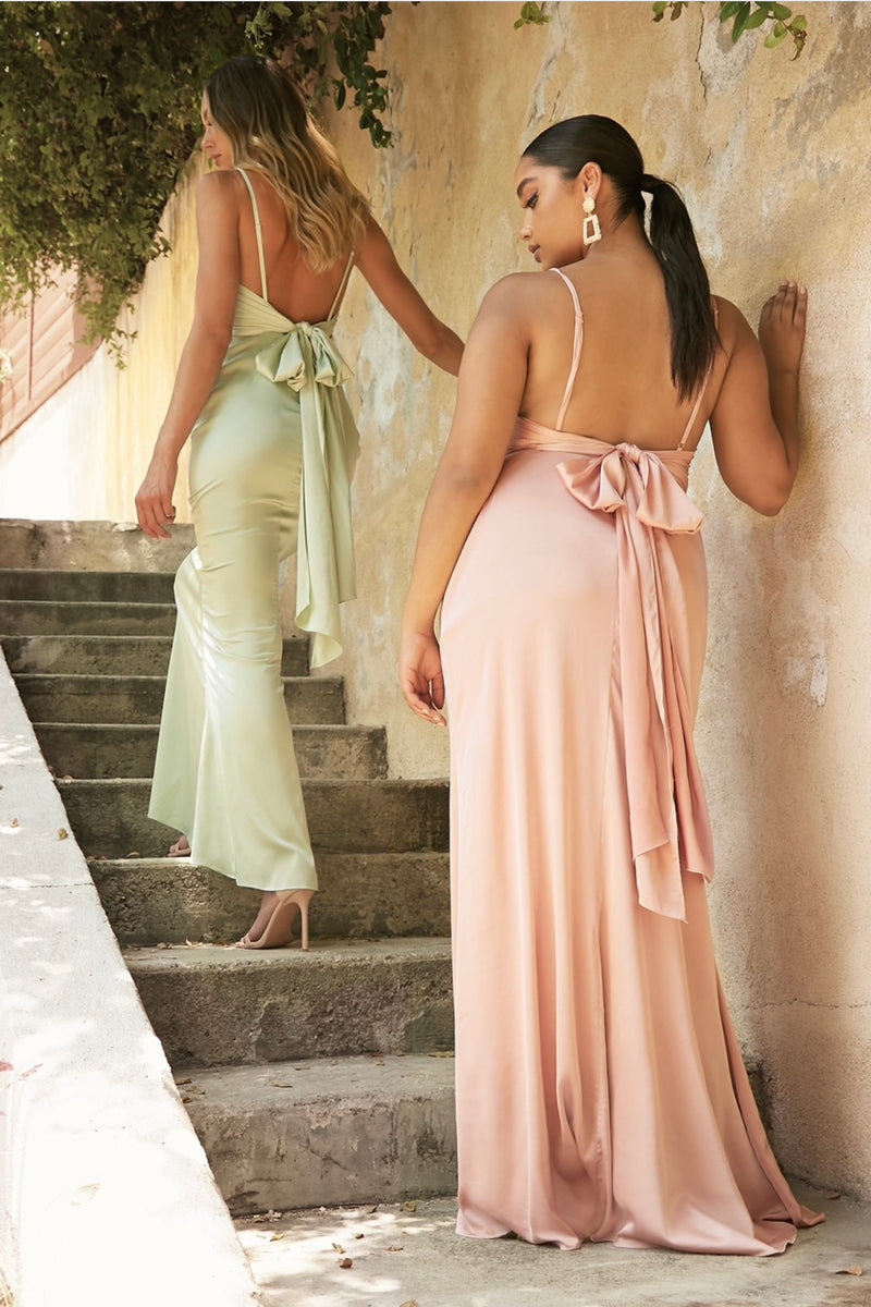SPECIAL ORDER Priya Dress